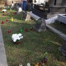 Cmentarz wojenny nr 366 - Limanowa 7