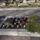 Cmentarz wojenny nr 366 - Limanowa 11