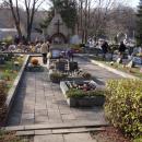 Cmentarz wojenny nr 366 - Limanowa 1